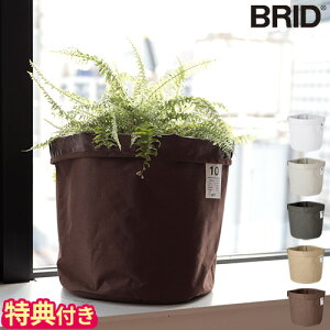 yTtzJo[ BRID IJ v^[Jo[ 10 z AJo[  A ϗtA z t@ubN  10v^[ 10 a31cm܂őΉ Vv CeA R