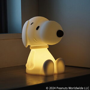 Xk[s[ FIRST LIGHT SNOOPY t@[Xg Cg Cg LED PEANUTS ObY l  킢  [Cg Ɩ [d  CeA fUC Icւ  R[hX Ԑ