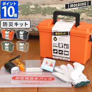 y|Cg10{zMOLDING EMERGENCY KIT ً}hЃLbg 003238 hЃZbg h ۊ p Cg [ [{bNX c[{bNX moldeing [fBO BRIDz