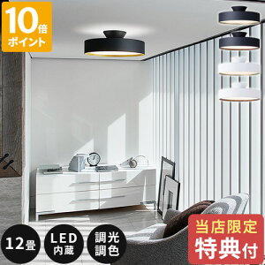 yTtzV[OCg A[g[NX^WI ARTWORKSTUDIO O[ 5000 LEDV[Ov Glow LED ceiling lamp 12  Ɩ LED  F Rt ԐڏƖ F gF  
