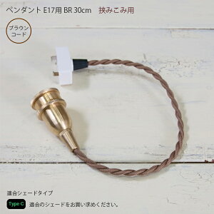 Type Cy_gE17p@BR@30cm Ɩ Cg y_gCgAXT