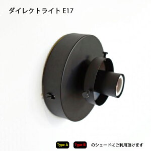 TypeAEB_CNgCg E17 Ɩ  ǒt Cg LEDΉ AeB[N Be[W ANVX typeA typeB hs2994 axcisAXT