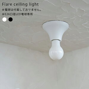 Flare ceiling light Ɩ y_gCg Cg KX ^J dC VF[h AeB[N re[W VF[h