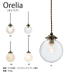 Orelia IA y_gCgƖ   킢 CeA Cg y_g LED [Cg VƖ k i` Vv _ rO _CjO KX