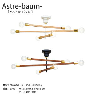 Astre -baum- AXgoE y_gCg Ɩ   킢 CeA Cg V[O y_g LED V VƖ k i` Vv rO _CjO Q