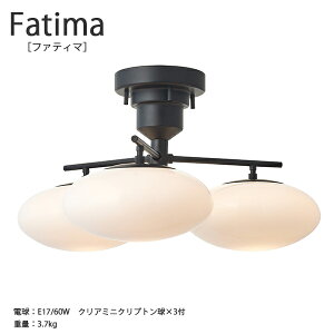 Fatima t@eB} V[OCg Ɩ   킢 CeA Cg VƖ LED k i` Vv _ JWA rO _CjO Q l炵 V