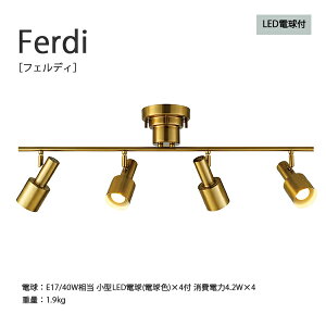 Ferdi tFfB V[OCg | Ɩ  킢 KXZ[h V Ɩ Cg v CeA Vv AeB[N Cg y_g LED LEDd VƖ Lb` r