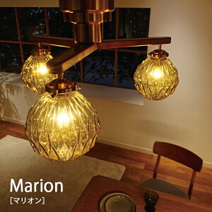 Marion }I V[OCg Ɩ   킢 CeA Cg y_g LED [Cg VƖ k i` Vv _ rO _CjO KX