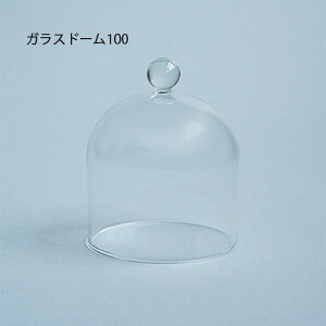 KXh[100 Lb`pi KX ϔMKX H ۑe KXh[ r rXgbJ[ P[L Ăَq Jk