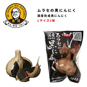 Ynɂɂ LTCY1yN h{ ĝɗǂ ɂɂ jjN ɂɂ jjN Y X z