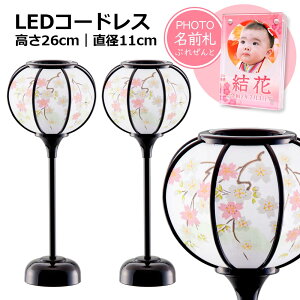yIl` ڂڂzLEDR[hX ᓴ h 26cmia11cmj ''l` ڂڂ Pi R[hX led ЂȐl`  RpNg 킢 ߂ l ~j NX^ O 