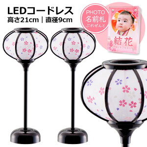 yIl` ڂڂzLEDR[hX ᓴ h 21cmia9cmj ''l` ڂڂ Pi R[hX led ЂȐl`  RpNg 킢 ߂ l ~j NX^ O 