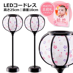 yIl` ڂڂzLEDR[hX ᓴ h 25cmia10cmj ''l` ڂڂ Pi R[hX led ЂȐl`  RpNg 킢 ߂ l ~j NX^ O
