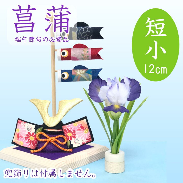 楽天市場 五月人形 鯉のぼり こいのぼり 兜飾り コンパクト おしゃれ ちりめん 室内 菖蒲 ショウブ の花セット 短小12cm 端午の節句 菖蒲 しょうぶ 造花 布袋屋本舗