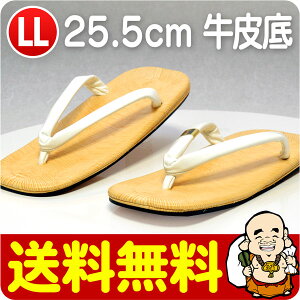 yzyʁb zS̍YiEjp @i{jTCYLLiS25.5cmj' @i@ mj_ЌiՂ _ja a  ߁il 