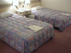 ꗬzeEق̉HуxbhJo[(͂ɂHт̓{bNX^)ƒɂ1I傫ȃTCY KLOTCY zcJo[Ȃ̂ŃxbhCLOȒP zedl