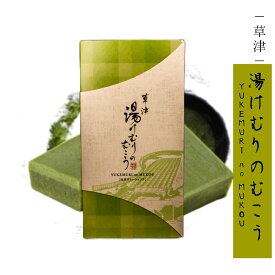 【湯けむりのむこう】 草津温泉 お土産 プレゼント 抹茶 スイーツ 菓子 群馬 草津町 草津 温泉 ギフト ミニギフト プチギフト プレゼント お土産 チョコレート ガトーショコラ 群馬 個包装 抹茶スイーツ 手土産 贈り物 お菓子 帰省土産 ハロウィン おみやげ