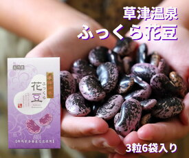 【ふっくら花豆 3粒6袋入り】 草津温泉 お土産 プレゼント 花豆 お土産 いんげん 草津 温泉 群馬 群馬県産 菓子 ギフト プレゼント プチギフト ミニギフト ご自宅用 贈答用 誕生日 食品 名産品 お菓子