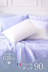 Hі tXYzCg_bN_E90 630FP IׂTCY 50×70cm 50×90cm Iׂ鍂 { z ێ Hт܂  ze zeCNCeA