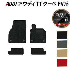 AUDI AEfB TTN[y FVn tA}bg dProfound HOTFIELD G}RۉH w Audi }bg  ^]  J[}bg J[pi { JX^p[cx
