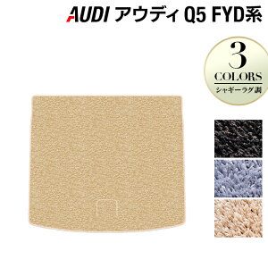 y11/4()20:00` P5{zAUDI AEfB Q5 X|[cobNΉ FYDn gN}bg QbW}bg VM[O HOTFIELD G}RۉH w Audi }bg  ^]  J[}bg 