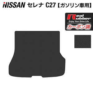 Y Zi C27n (K\) gN}bg QbW}bg J[{t@Co[ Ao[ HOTFIELD { p݌v Ԏp Zic27