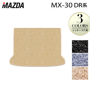 y11/20()20:00` P5{z}c_ V^ MX-30 MX30 DRn gN}bg QbW}bg VM[O HOTFIELD G}Hς w mazda }bg  ^]  J[}bg J[pi {