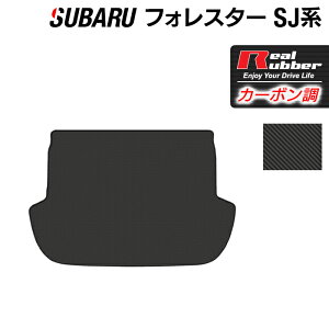 y11/1(y)24h P5{zXo tHX^[ SJn gN}bg QbW}bg J[{t@Co[ Ao[ HOTFIELD   J[}bg ԗpi J[pi { zbgtB[