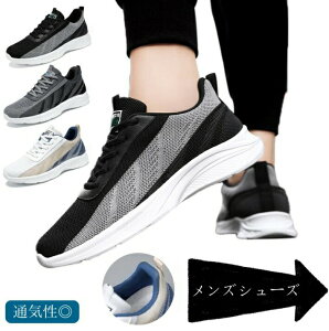 ^C ʋC g[jO  y y@jOV[Y Xj[J[ X|[c Y  