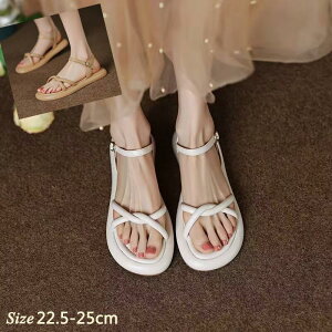 T_ fB[X ؂ n y y ʋC r EH[LOV[Y ʋ