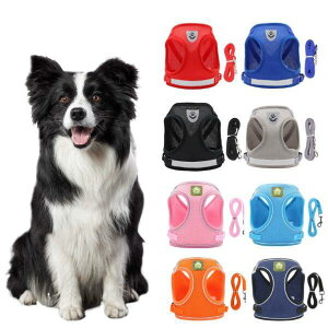 yEȂ݌vzn[lX ^E^E^p  ȒP ˍޕt [hΉ /֌p