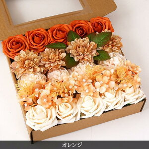 \[vt[  {bNXt[ XNGA J[l[V o tOX\[vt[ ͂Ȃ   Ό ̓ j v[g Mtg