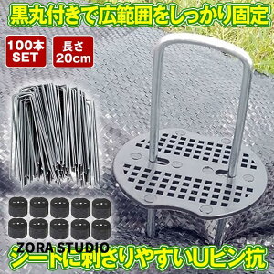 hV[g s UsY ەt Œs V[g 100{ Zbg hV[g h[ Œp Œ lH s s 20cm |V[g