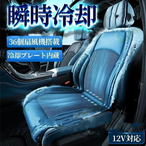 ԗpV[gN[[ N[V[g 12v 24v J[V[gJo[ ʋCD 3iK }bT[W@\(ǉ) GA[V[g  pv[g 12/24t@ 