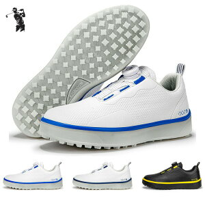 StV[Y XpCNX 4E _C Sۏ V[Y St XpCNXV[Y StV[YP[X XpCN Xj[J[^Cv S u[ ubN lCr[ 23~28.5cm 24.5