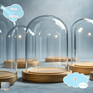 �t�B�M���A�P�[�X �K���X�J�o�[ �C���e���A �h�o�J�o�[ �W���P�[�X �t�B�M���A �P�[�X �����W���P�[�X �W�� �C���e���A�̃Q�L�J�O �C���e���A�p���b�g �W���G���[ �K���X�h�[�� �h�[���^ 