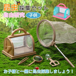 ������ �L�k�� ���ĕt�� �܂肽���� �L�k �R���p�N�g �y�� ����肠�� �Z�b�g �q�q ���[�y �����n�T�~ �L���b�`���[ ���R���� �����̏W�Z�b�g ��V�� �� �ċx�� �A�E�g�h�A �j�̎q ����