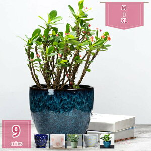 �A�ؔ� ���픫 �C���e���A ���� ����󂯎M�t�� ���_�� �󂯎M�t�� ���� �v�����^�[ �~�͔� ���t�� �ϗt�A�� �� ���A�� ���� ���� �A���Ȃ� �k�� ���^ �ꌊ���� �~�j���A�� �T�{�e���� (�u��