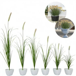 tFCNO[ GmROT 10{ 2F lRWV ^ CeA lHϗtA  L炵  C~e[V Ȃ DIY lHt[ a a_ ؒ ̊ Xg