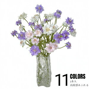  e  3{ O}MN K[x ԋe  䋟 d  A[gt[ A[eBtBVt[ ϗtA JXj Mtg CeA JƏj ̓ tFCNO