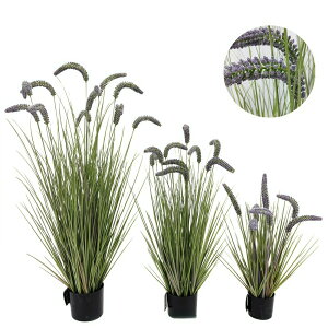 tFCNO[ GmROT 2Zbg 3F lRWV ^ CeA lHϗtA  L炵 t  C~e[V DIY lHt[ a a_ ؒ ̊ 