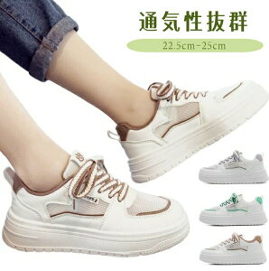 Xj[J[ fB[X  L  Vv ̎q ؍ t@bV   x[W