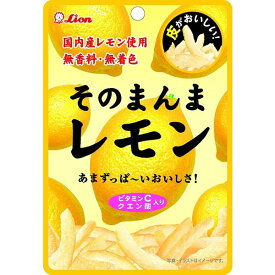 そのまんまレモン　72袋（6袋×12B）【まとめ買い】