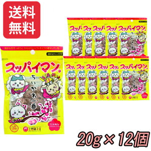 XbpC}@ԁ@˂Ȃ @20g×12yǐՉ\[֑z