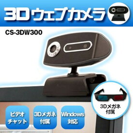 訳アリ　外箱破損　WEBカメラ 3D PCカメラ 3Dメガネ skype スカイプ ビデオチャット 30万画素 | CS-3D W300 カメラ機能のみ