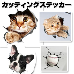 3D̃J[XebJ[ JbeBOXebJ[ EH[XebJ[ CeAV[ gbNA[g ܂G яo ͂  oCN   LYB 킢 CpNg 3DCAT1521