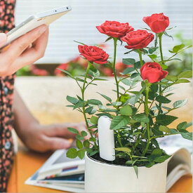 スマホ連動土壌テスター iPhone/Android対応 Appで植物の状態をチェック Flower Care 土壌測定 技術認証マーク取得 透明ケース付き MOT-HHCC20G