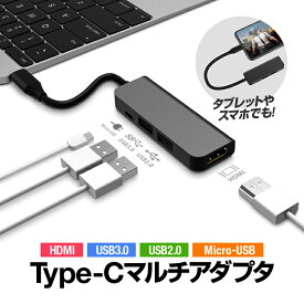 Type-C マルチアダプタ HDMI/USB2.0/USB3.0/MicroUSB FHD1920×1080対応 Windows/macOS/Android/iOS/iPadOS Type-C給電対応 MOT-TCHUB024