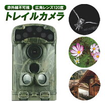楽天市場】トレイルカメラ ltl−6210の通販