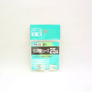 p[cH[F~j^q[Y 25A 2 FN-22
